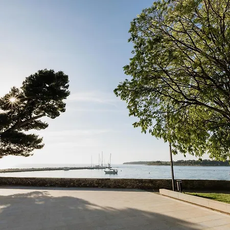 Ivan Novigrad Istria